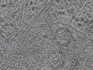 key visualization for L1_ts_008