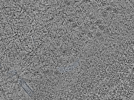 key visualization for L1_ts_009
