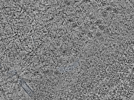 key visualization for L1_ts_009