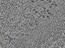 key visualization for L1_ts_009