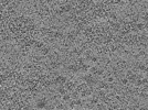 key visualization for L1_ts_010