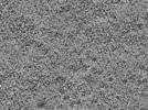 key visualization for L1_ts_010