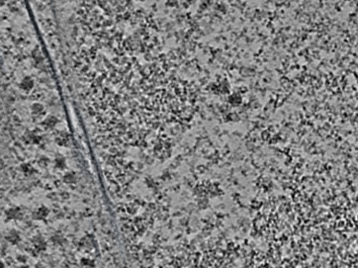 key visualization for L1_ts_011