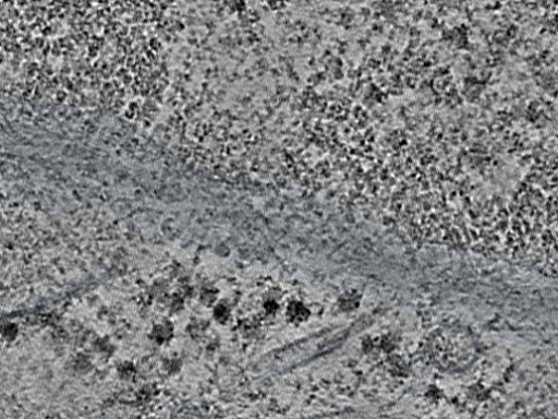 key visualization for L2_ts_002