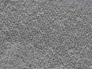 key visualization for L2_ts_009
