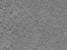 key visualization for L4_ts_005