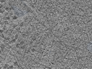 key visualization for L4_ts_005