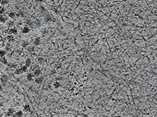 key visualization for L4_ts_005