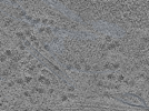 key visualization for L4_ts_006
