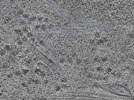 key visualization for L4_ts_006