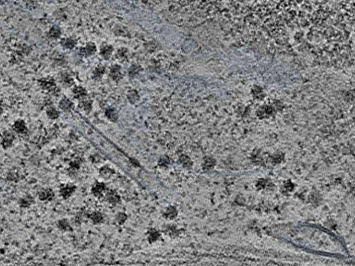 key visualization for L4_ts_006