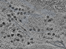key visualization for L4_ts_006