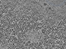 key visualization for L6_ts_005