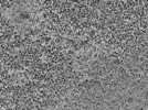 key visualization for L7_ts_002