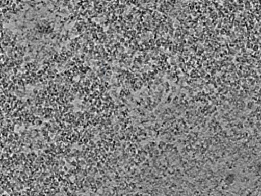 key visualization for L7_ts_002