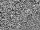 key visualization for L7_ts_002