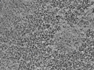 key visualization for L7_ts_003