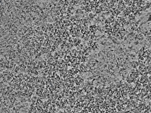 key visualization for L7_ts_003