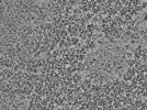 key visualization for L7_ts_003