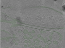 key visualization for Position003