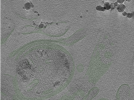 key visualization for Position004