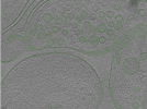 key visualization for Position013