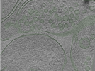 key visualization for Position013