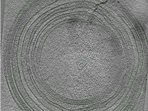 key visualization for Position035