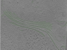key visualization for Position036
