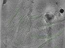 key visualization for Position042