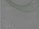 key visualization for Position043