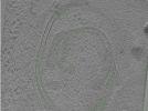 key visualization for Position044