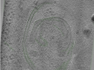key visualization for Position044