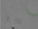 key visualization for Position045