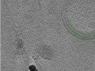 key visualization for Position045