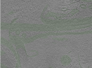 key visualization for Position001