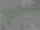 key visualization for Position001