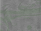 key visualization for Position001