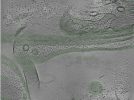 key visualization for Position001