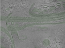 key visualization for Position001