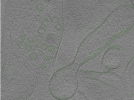 key visualization for Position007