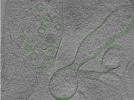 key visualization for Position007