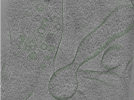 key visualization for Position007