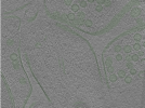 key visualization for Position008