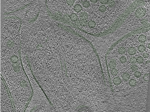 key visualization for Position008
