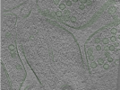 key visualization for Position008