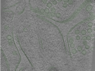 key visualization for Position008