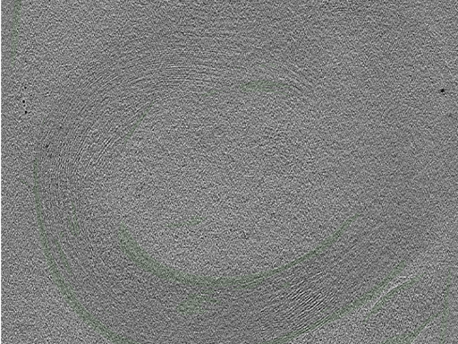 key visualization for Cryo-electron tomography of a cryo-FIB lift-out from adult mouse hippocampal CA1 stratum pyramidale