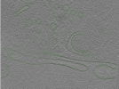 key visualization for Position069