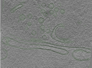 key visualization for Position069